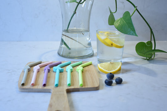 Melii Silicone Animal Straws + brush