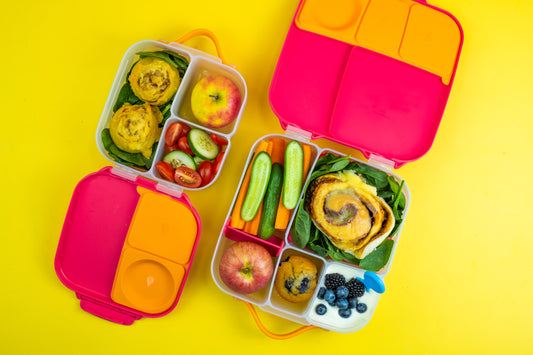 Choosing the Right Lunchbox