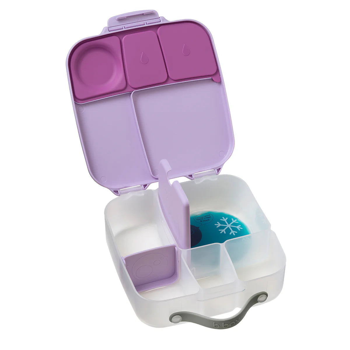b.box Lunchbox – Sugar Plum