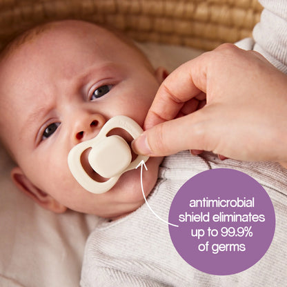 b.box Pacifier Duo Latex - Berry+Blush