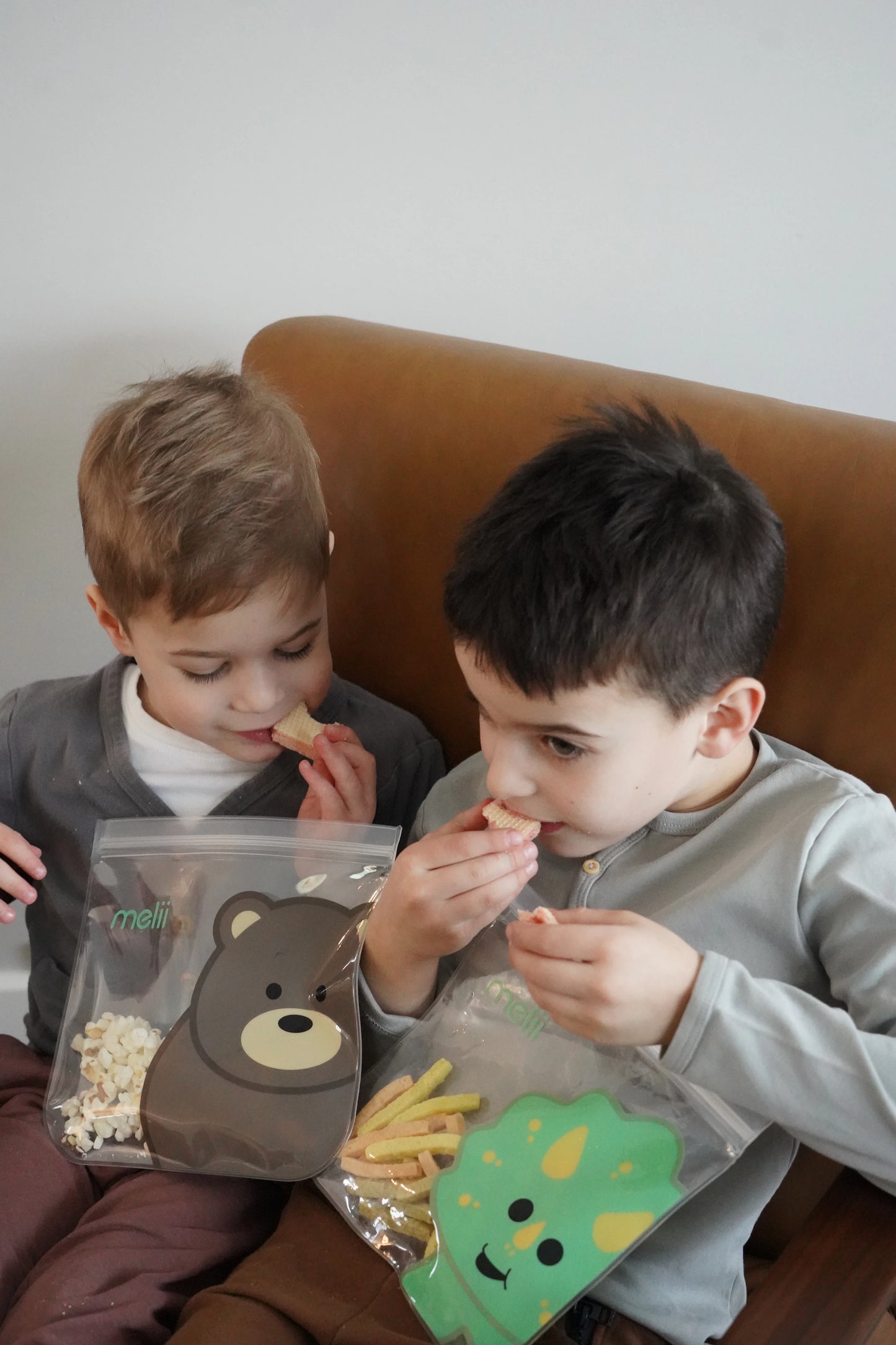 Melii EVA Reusable Snack Bags - Dino/Lion