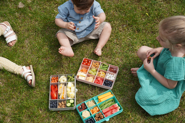 Melii Snackle Box 12 Compartment - Blue