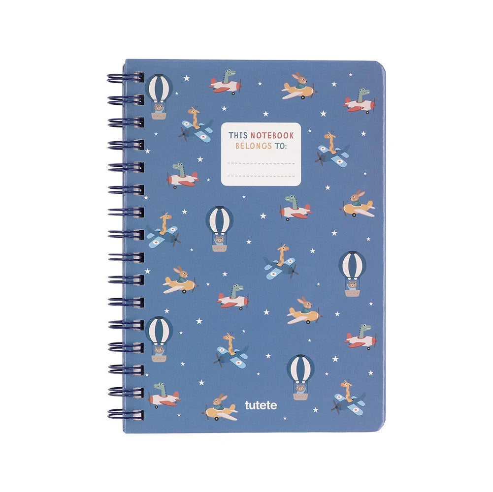Notebook - Planes