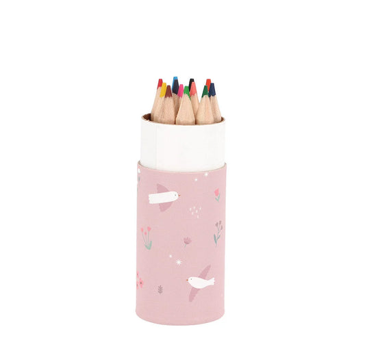 Pencil Colours in a Tube, 12-Pack - Blossom Birds
