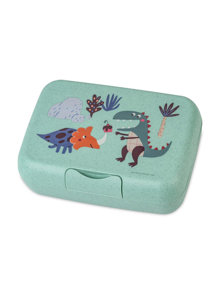Kids Lunch Set - Rex