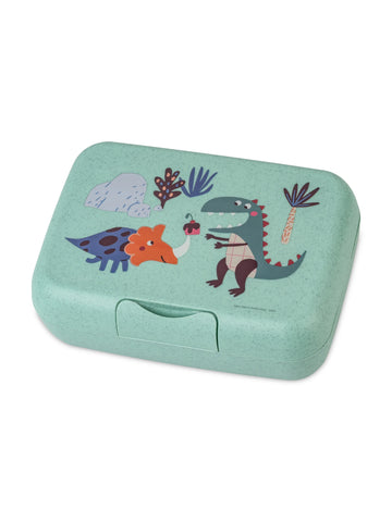 Lunch box with divider REX