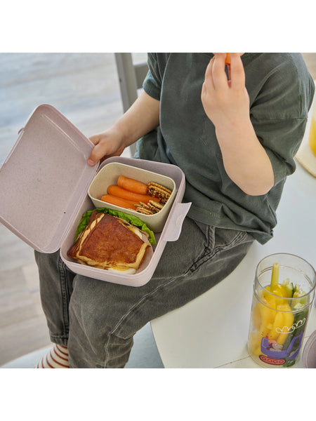 Lunch box with divider TRUCKS