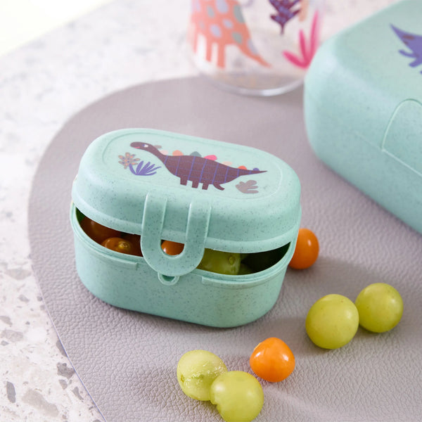 Snack box MINI REX